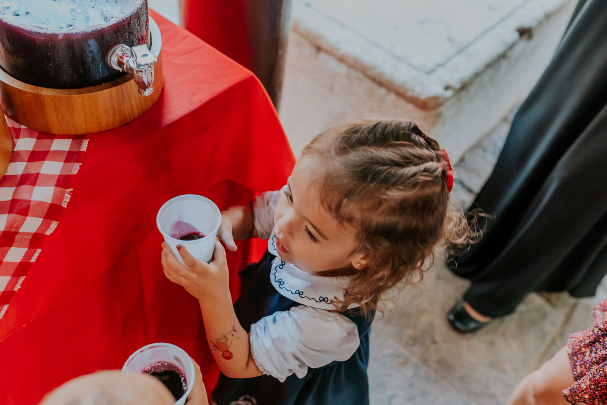 fotografia festa infantil 3 anos Julia Joana gemas tema tres porquinhos barra da Tijuca Rio de Janeiro fotografa familia bruna Guerson 