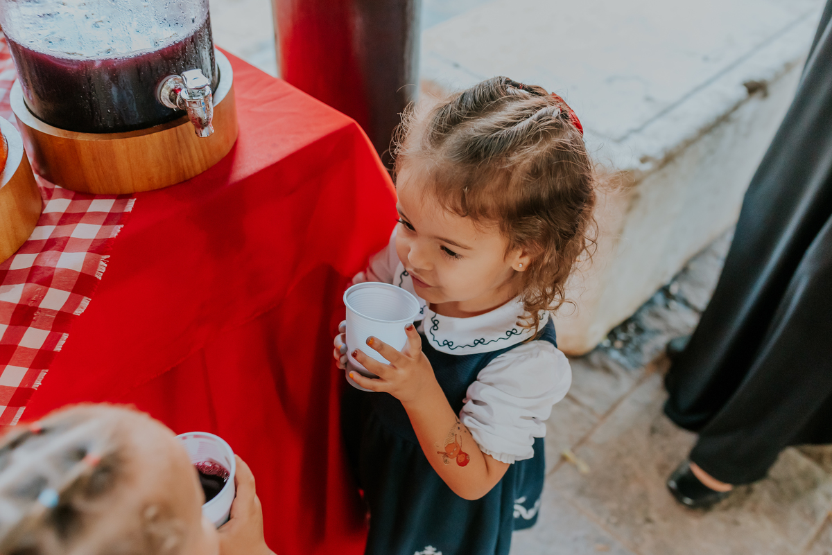 fotografia festa infantil 3 anos Julia Joana gemas tema tres porquinhos barra da Tijuca Rio de Janeiro fotografa familia bruna Guerson 