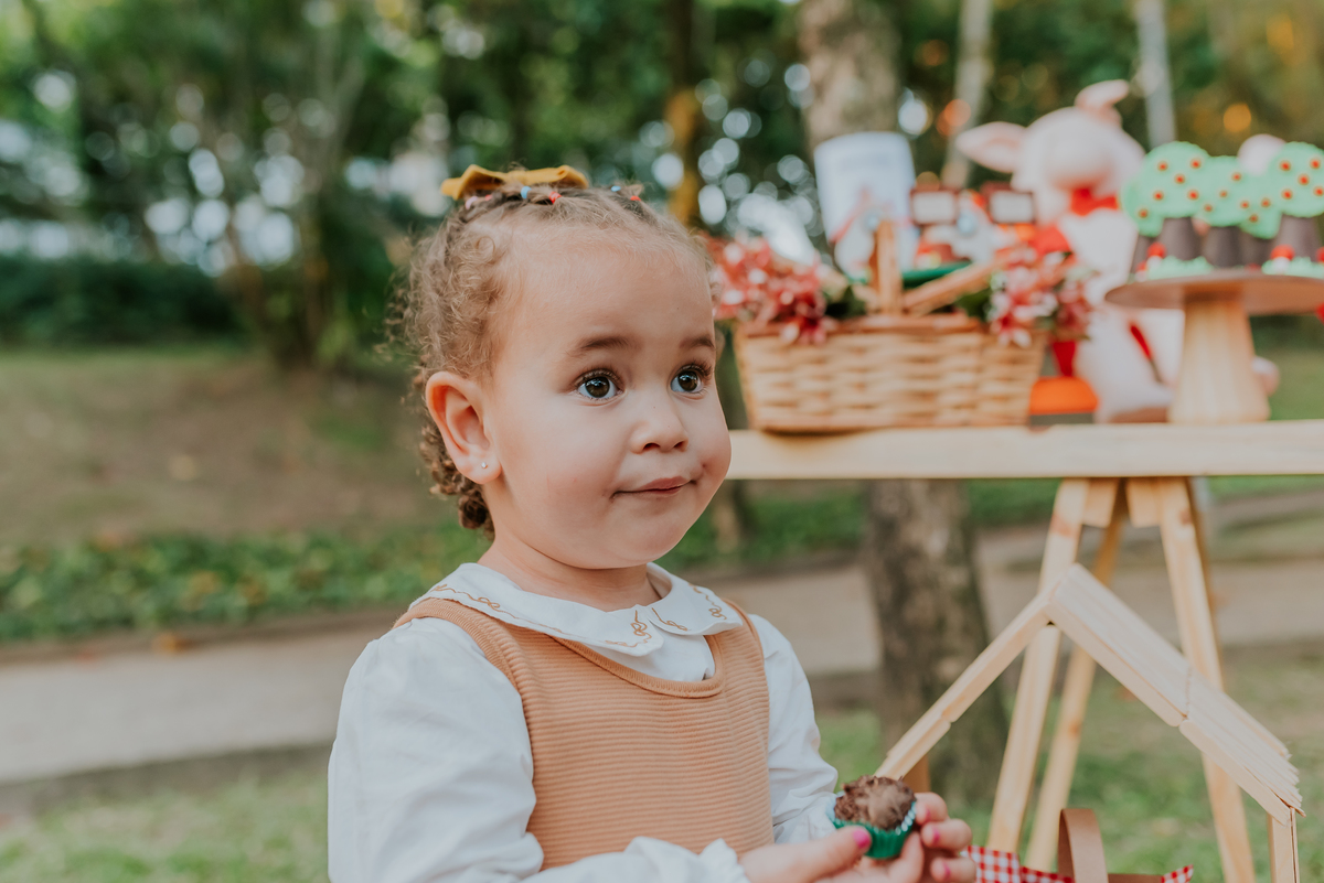 fotografia festa infantil 3 anos Julia Joana gemas tema tres porquinhos barra da Tijuca Rio de Janeiro fotografa familia bruna Guerson 