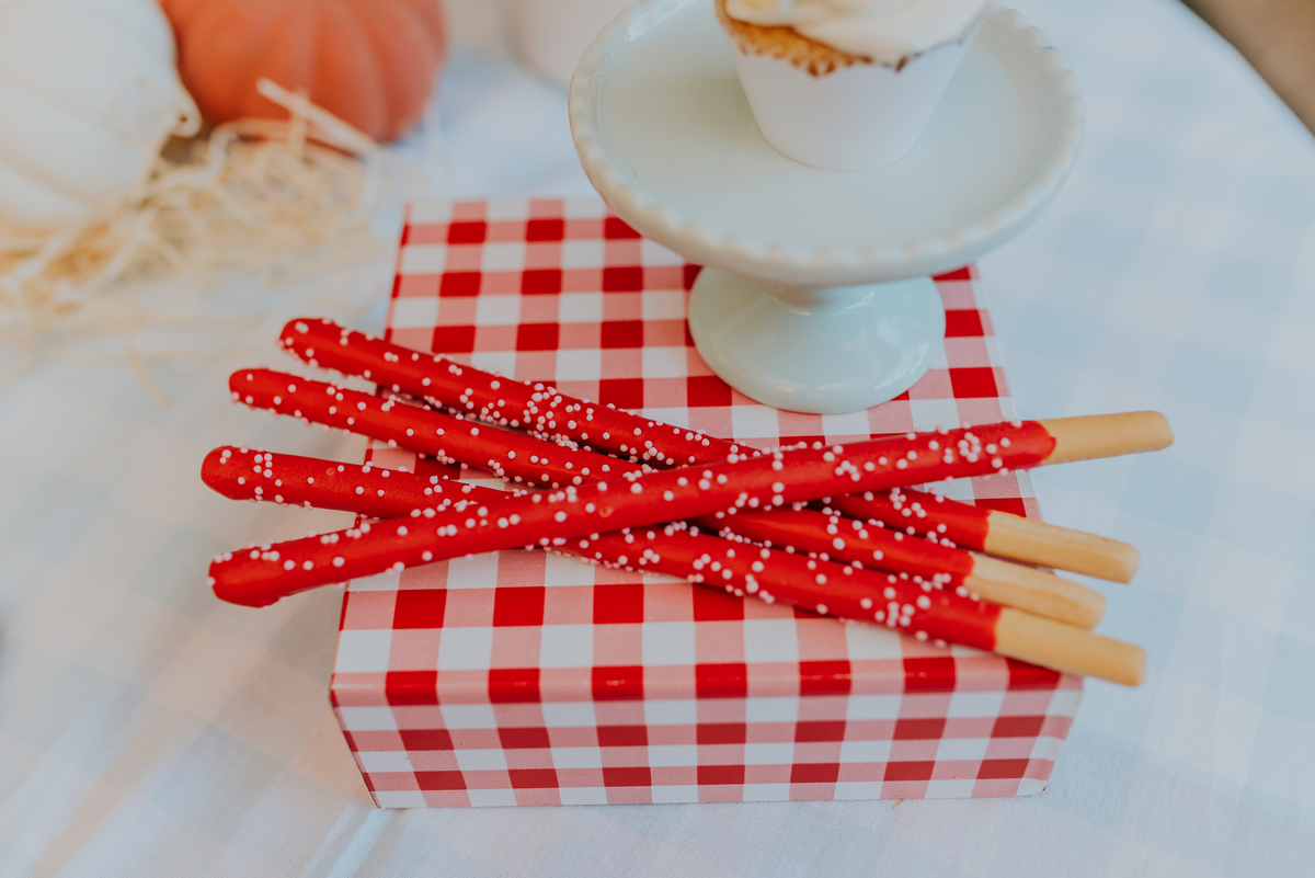 fotografia festa infantil 1 ano Lara tema magico de oz barra da Tijuca Rio de Janeiro fotografa familia bruna Guerson 