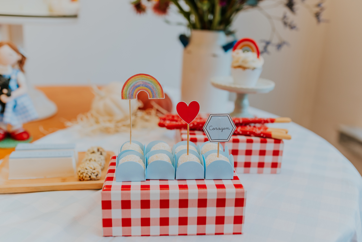 fotografia festa infantil 1 ano Lara tema magico de oz barra da Tijuca Rio de Janeiro fotografa familia bruna Guerson 