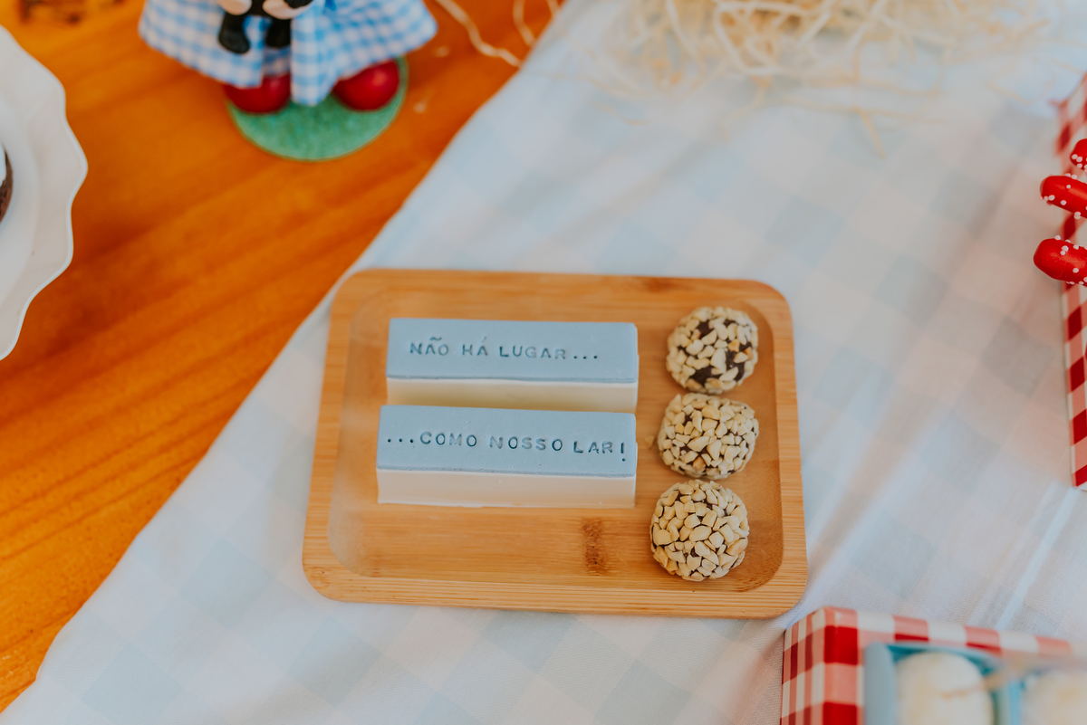 fotografia festa infantil 1 ano Lara tema magico de oz barra da Tijuca Rio de Janeiro fotografa familia bruna Guerson 