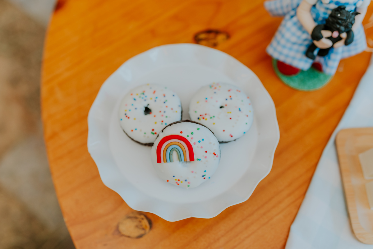 fotografia festa infantil 1 ano Lara tema magico de oz barra da Tijuca Rio de Janeiro fotografa familia bruna Guerson 