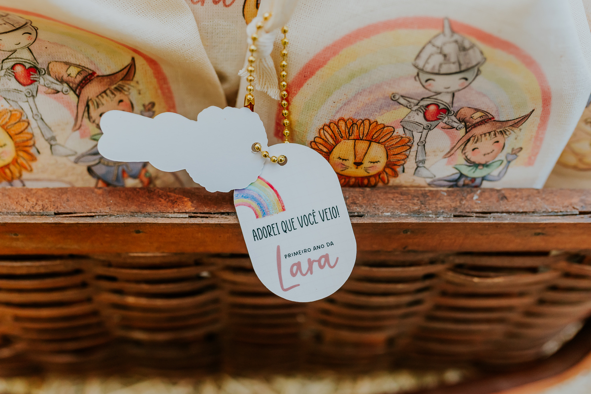 fotografia festa infantil 1 ano Lara tema magico de oz barra da Tijuca Rio de Janeiro fotografa familia bruna Guerson 