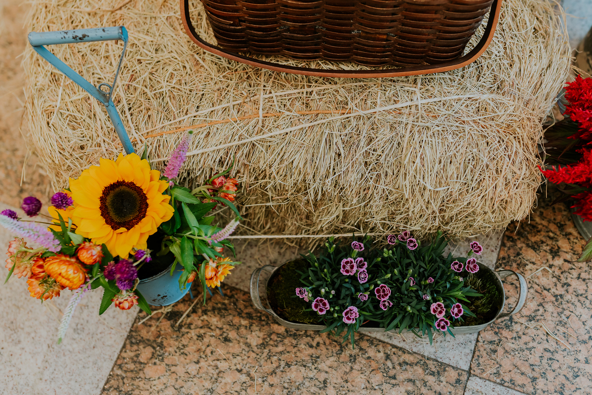 fotografia festa infantil 1 ano Lara tema magico de oz barra da Tijuca Rio de Janeiro fotografa familia bruna Guerson 