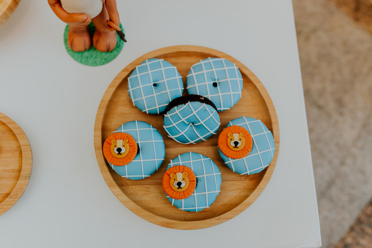 fotografia festa infantil 1 ano Lara tema magico de oz barra da Tijuca Rio de Janeiro fotografa familia bruna Guerson 