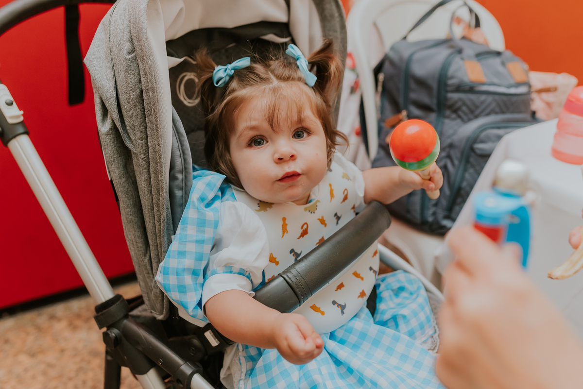fotografia festa infantil 1 ano Lara tema magico de oz barra da Tijuca Rio de Janeiro fotografa familia bruna Guerson 