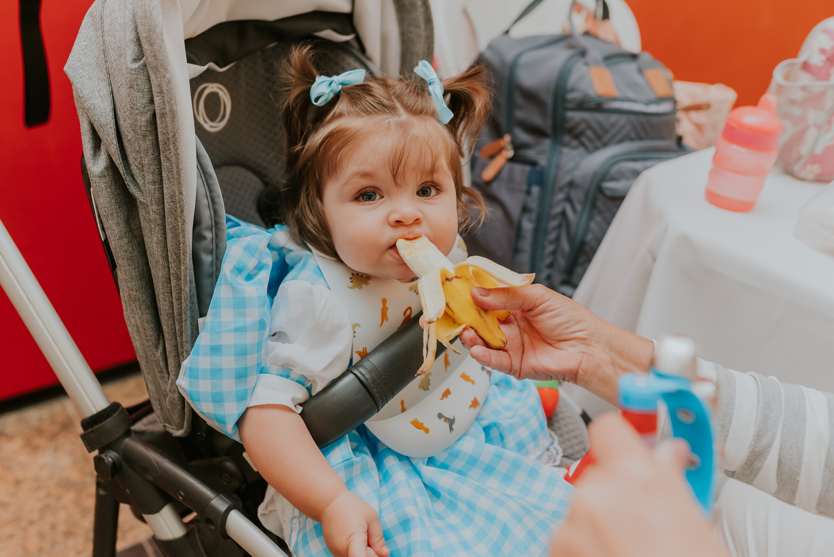 fotografia festa infantil 1 ano Lara tema magico de oz barra da Tijuca Rio de Janeiro fotografa familia bruna Guerson 