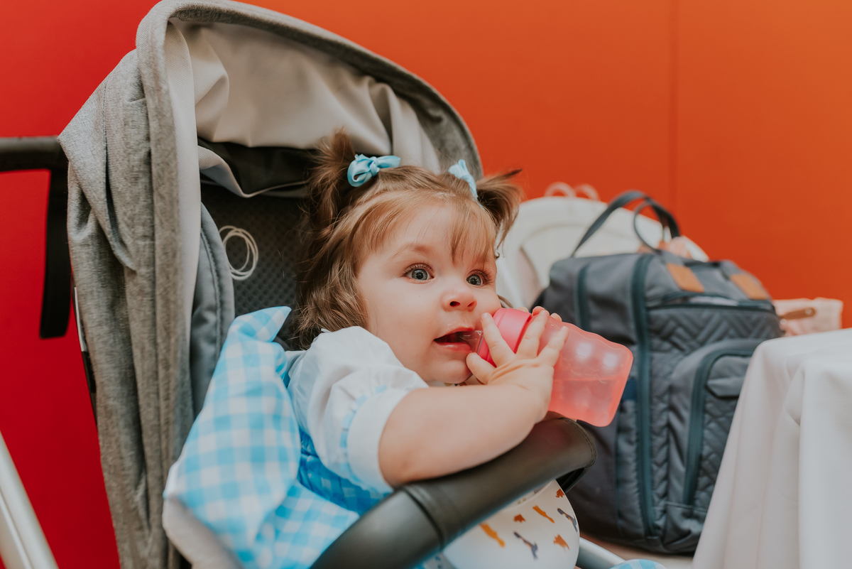 fotografia festa infantil 1 ano Lara tema magico de oz barra da Tijuca Rio de Janeiro fotografa familia bruna Guerson 