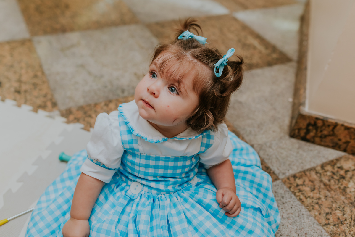 fotografia festa infantil 1 ano Lara tema magico de oz barra da Tijuca Rio de Janeiro fotografa familia bruna Guerson 