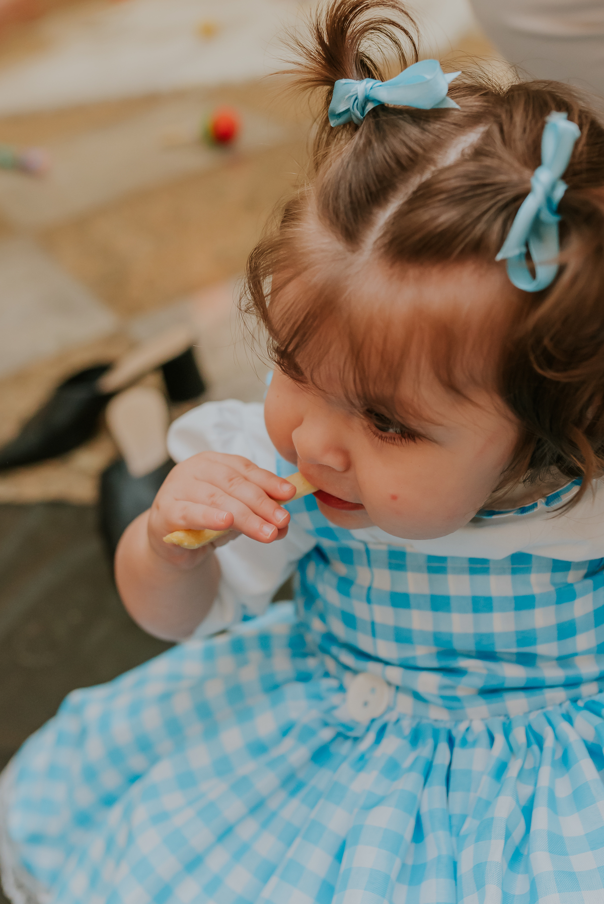 fotografia festa infantil 1 ano Lara tema magico de oz barra da Tijuca Rio de Janeiro fotografa familia bruna Guerson 