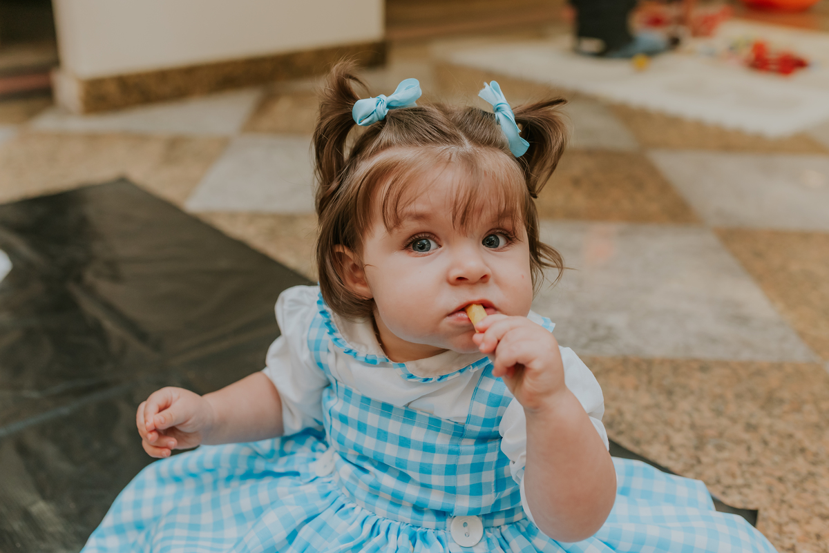 fotografia festa infantil 1 ano Lara tema magico de oz barra da Tijuca Rio de Janeiro fotografa familia bruna Guerson 