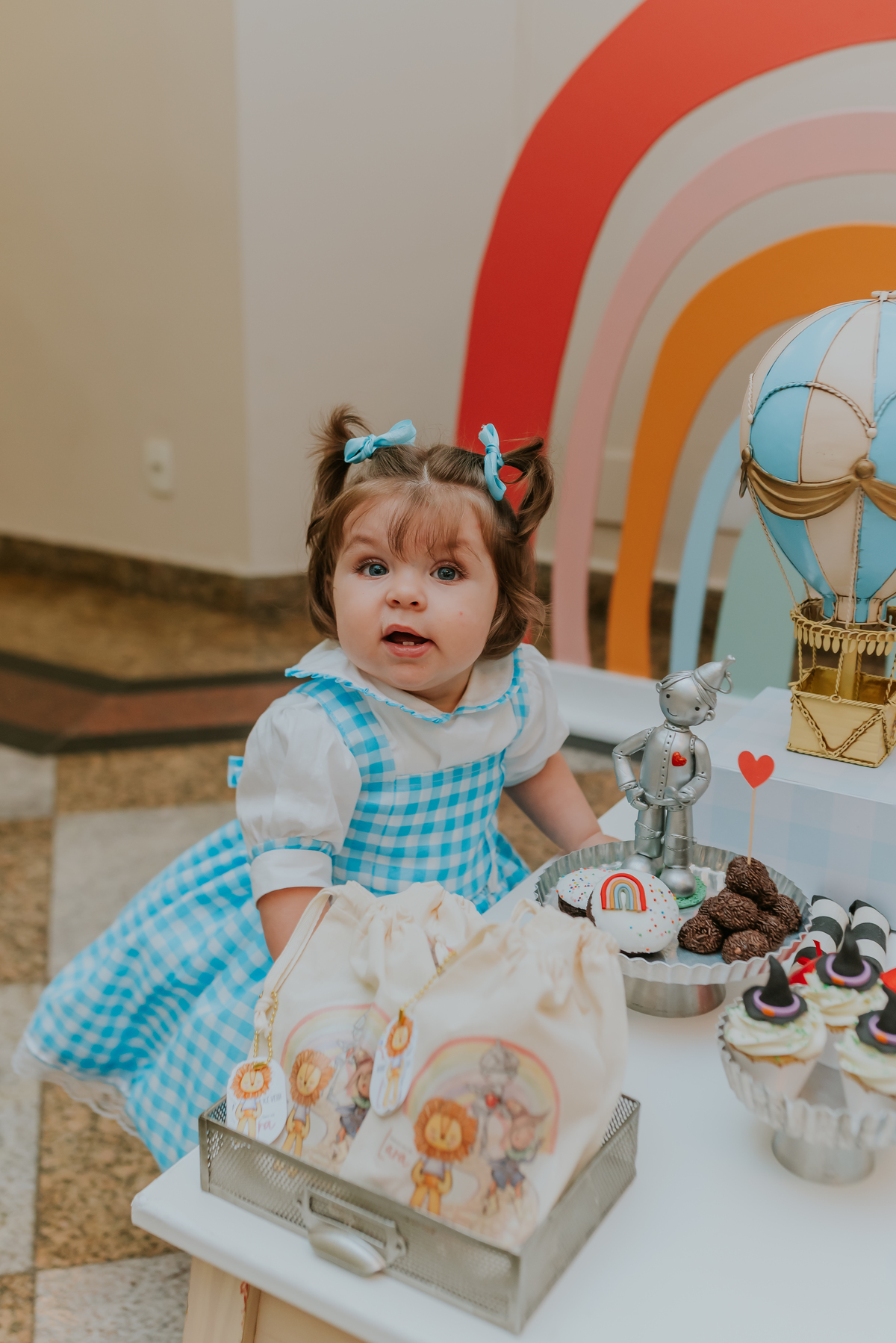 fotografia festa infantil 1 ano Lara tema magico de oz barra da Tijuca Rio de Janeiro fotografa familia bruna Guerson 