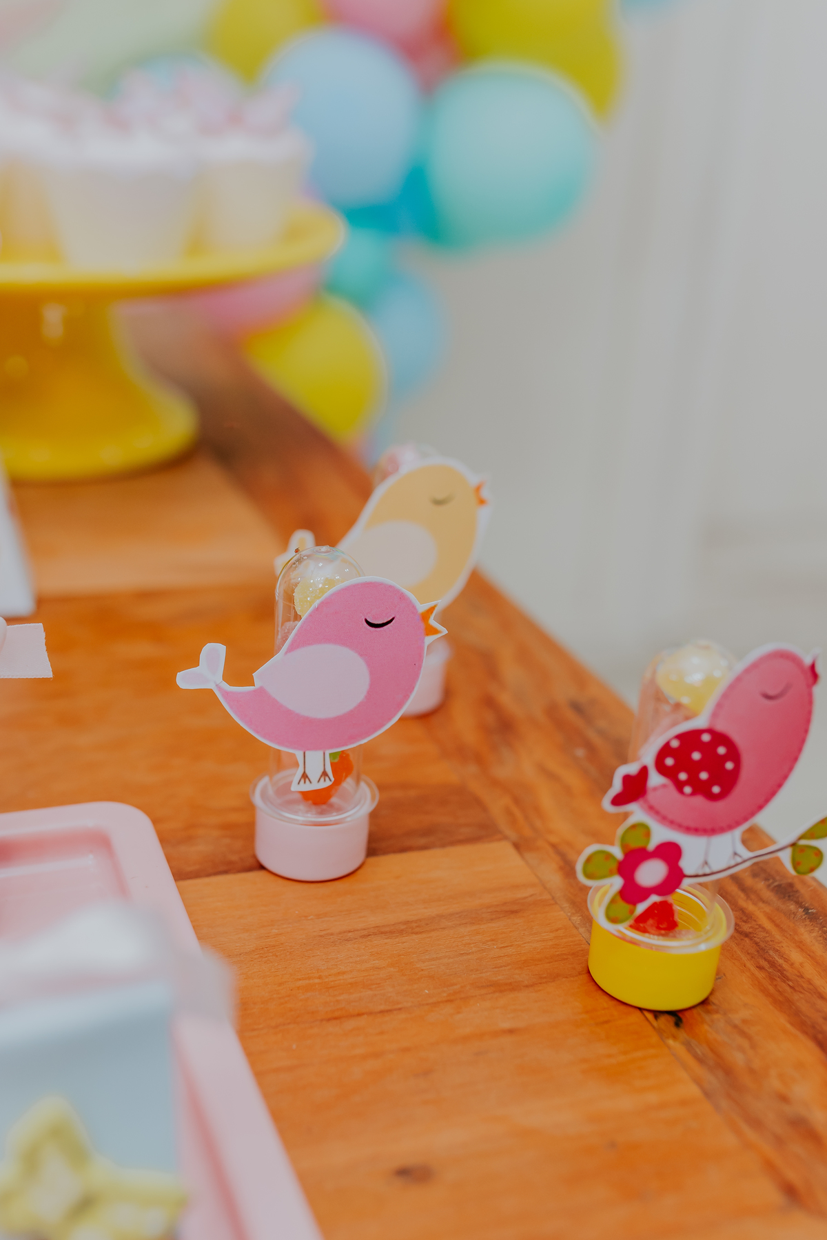 fotografia festa infantil 1 no Julia tema jardim encantado Copacabana rio de janeiro fotografa familia bruna guerson