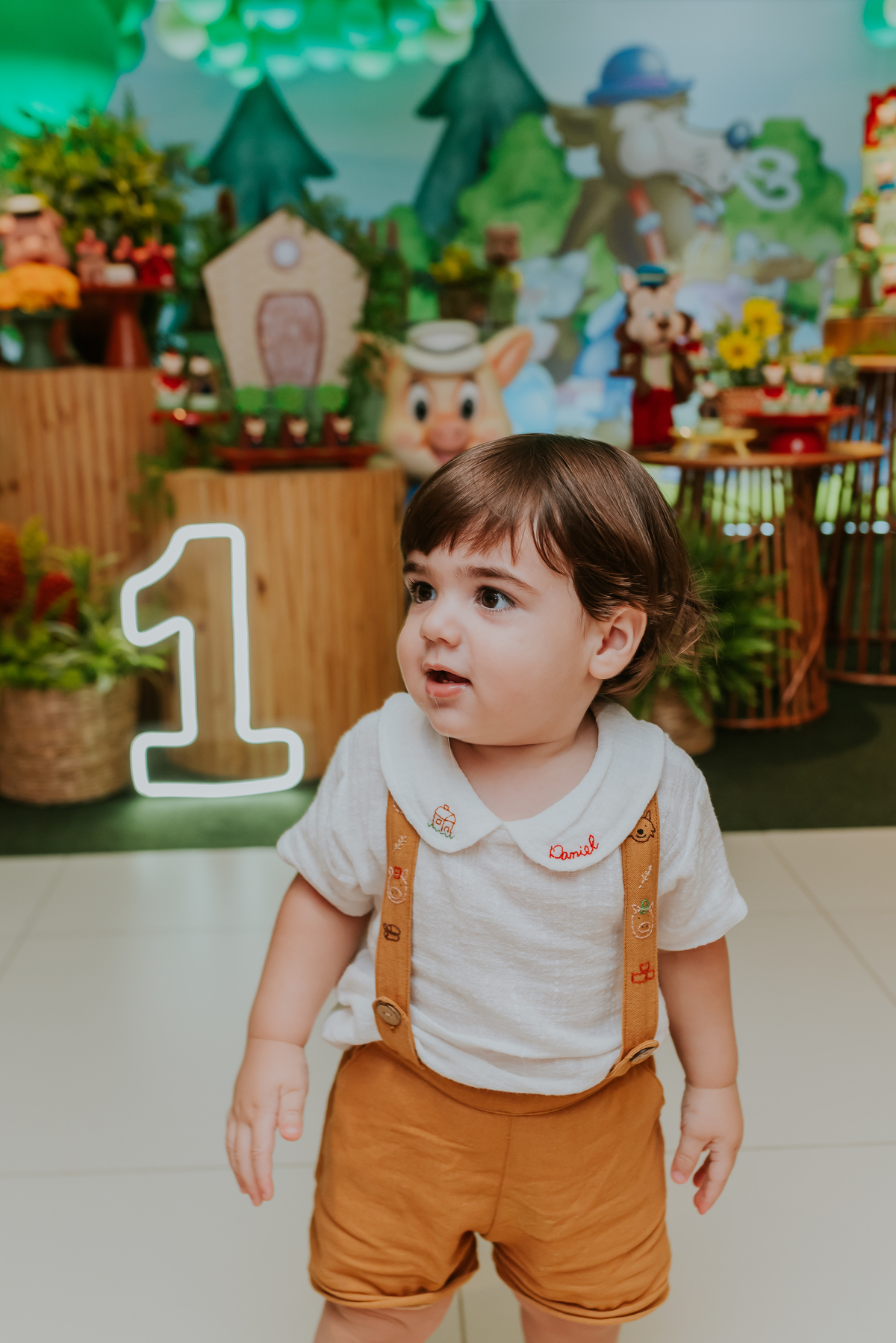 fotografia festa infantil 1 ano Daniel tema tres porquinhos barra da Tijuca rio de janeiro bruna Guerson fotografa familia 