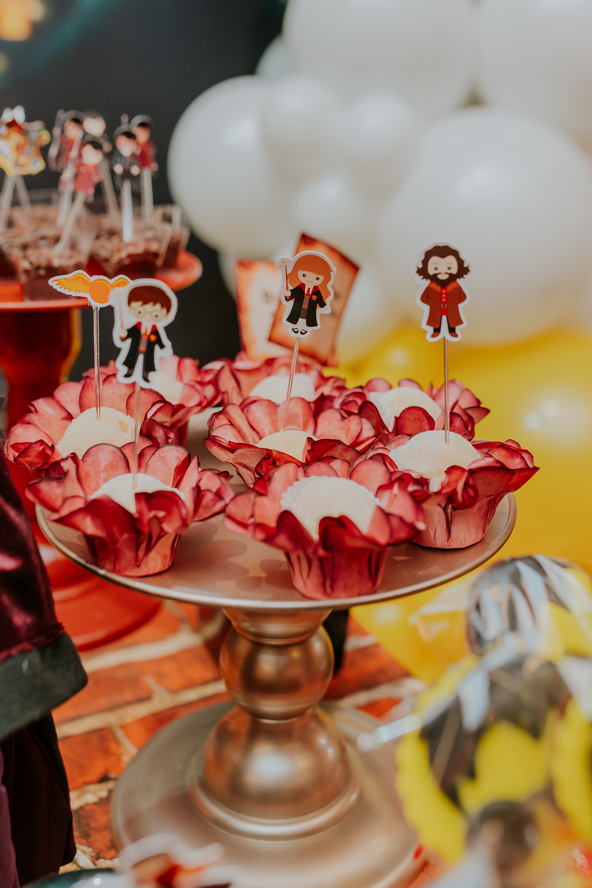 fotografia festa infantil kids park barra da Tijuca Rio de Janeiro fotografa familia 3 irmaos tema Harry Potter 