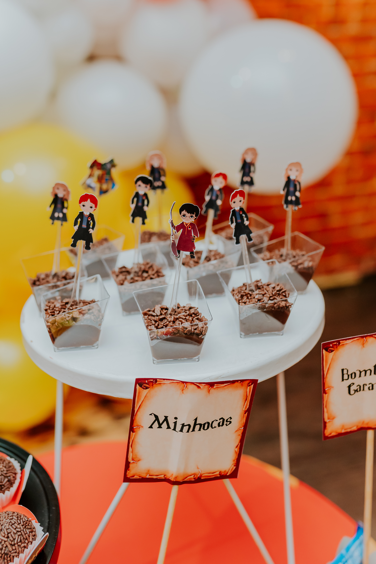 fotografia festa infantil kids park barra da Tijuca Rio de Janeiro fotografa familia 3 irmaos tema Harry Potter 