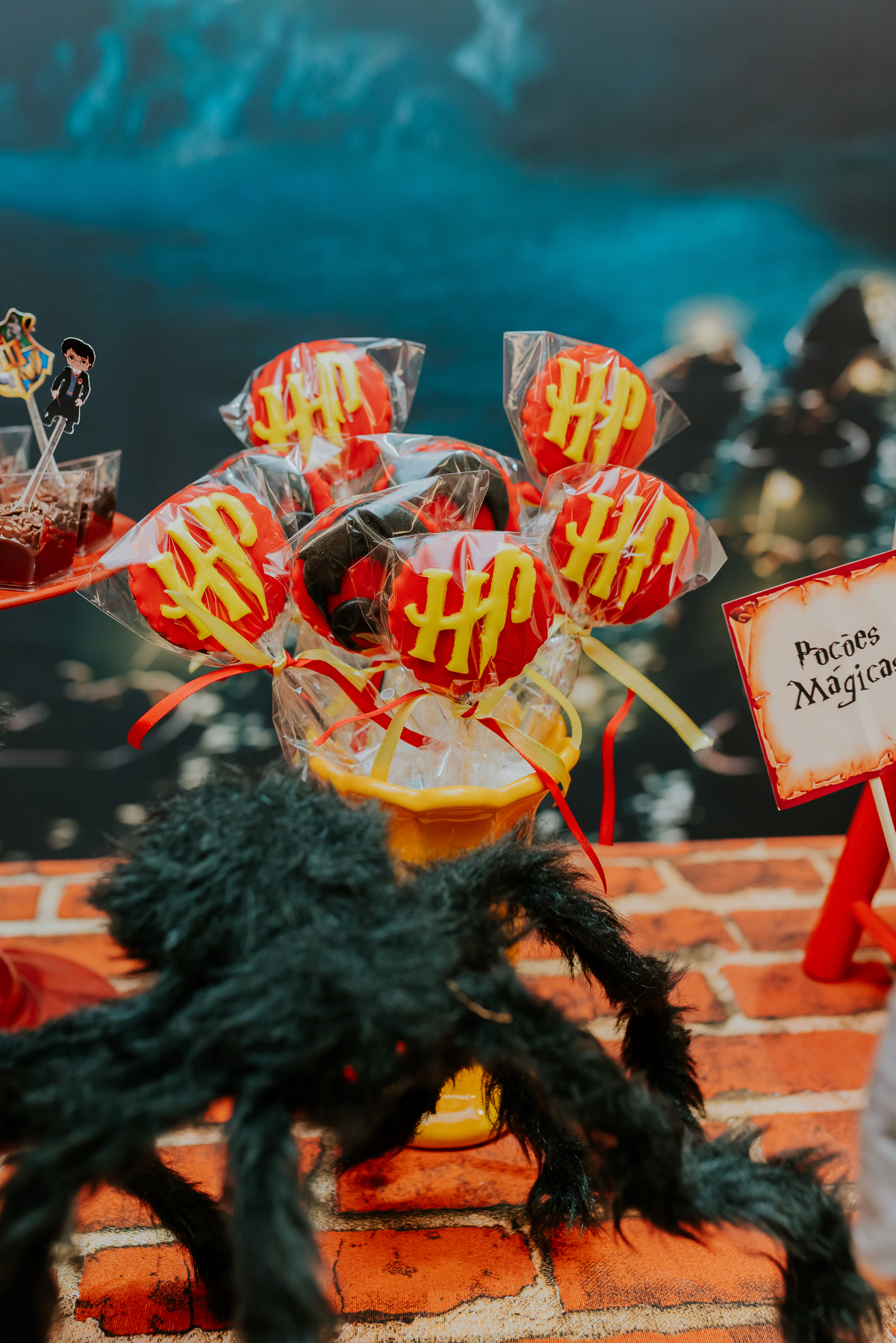 fotografia festa infantil kids park barra da Tijuca Rio de Janeiro fotografa familia 3 irmaos tema Harry Potter 