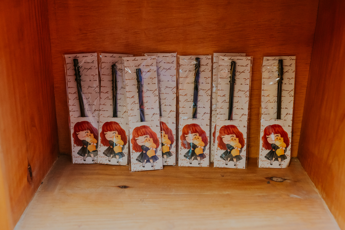 fotografia festa infantil kids park barra da Tijuca Rio de Janeiro fotografa familia 3 irmaos tema Harry Potter 