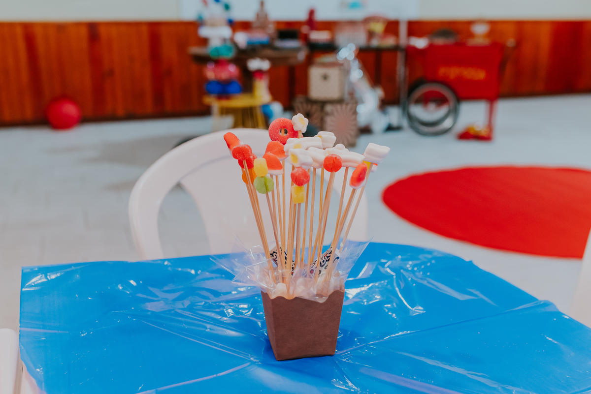 fotografia festa infantil Rio de Janeiro ilha do governador circo joaquim 4 anos fotografa familia 