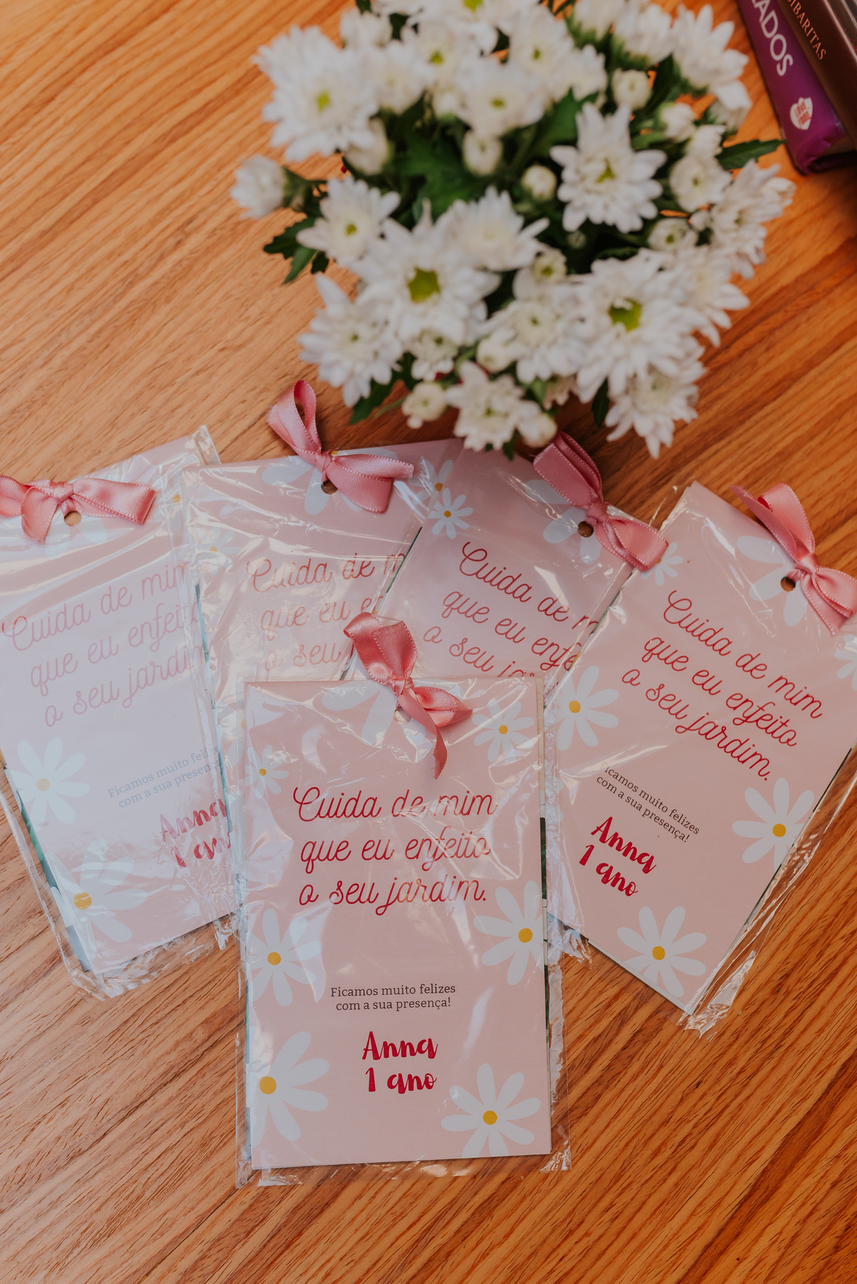 fotografia festa infantil 1 ano anna flamengo rio de janeiro fotografa familia 