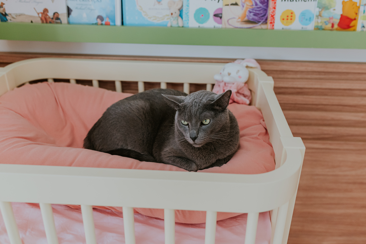 fotografia ensaio familia fotografa rio de janeiro em casa acompanhamento bebe 5 dias eva maria 