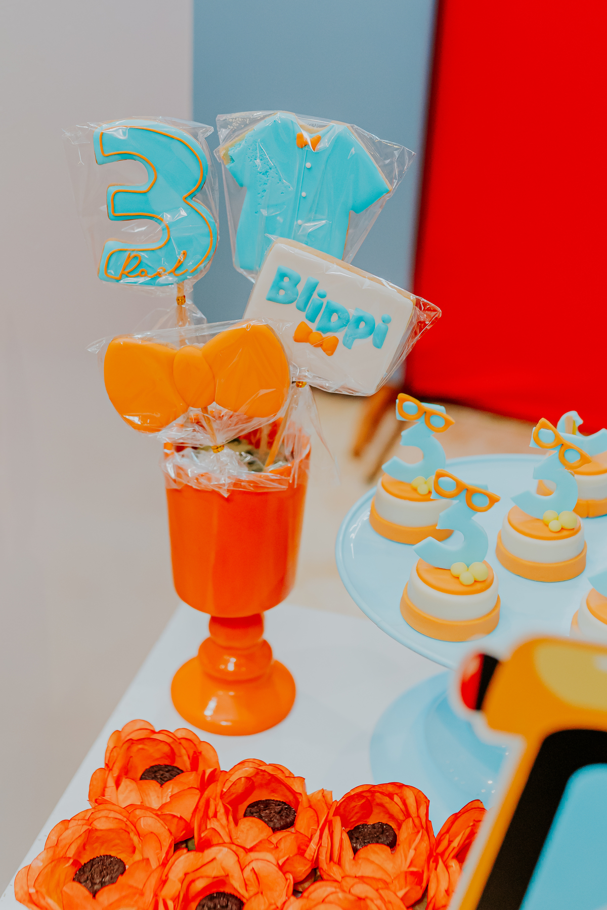 fotografia festa infantil fotografa familia rael 3 anos ilha do governador bruna Guerson 