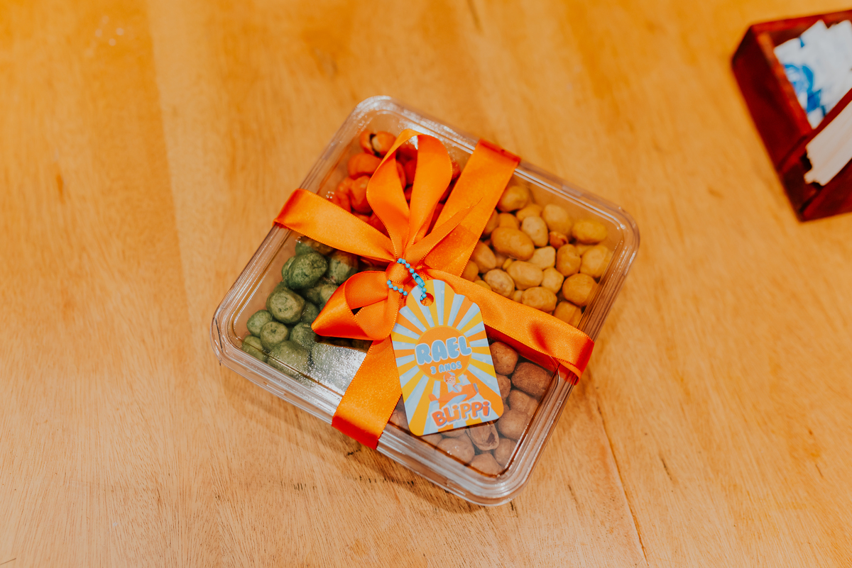 fotografia festa infantil fotografa familia rael 3 anos ilha do governador bruna Guerson 