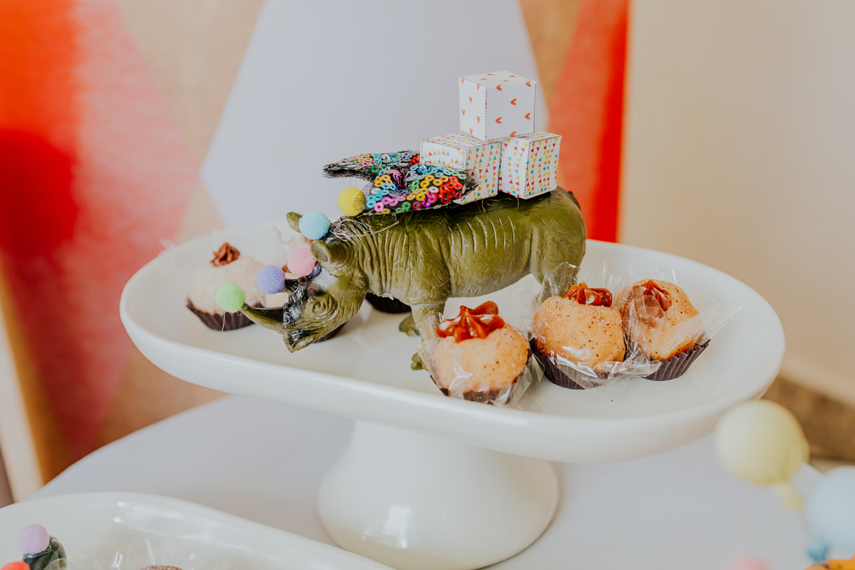 fotografia festa infantil 1 ano Gael tema circo Rio de Janeiro fotografa familia 