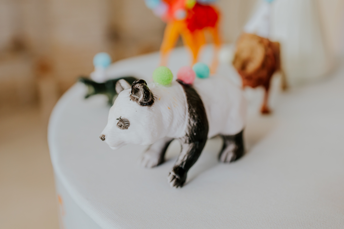 fotografia festa infantil 1 ano Gael tema circo Rio de Janeiro fotografa familia 