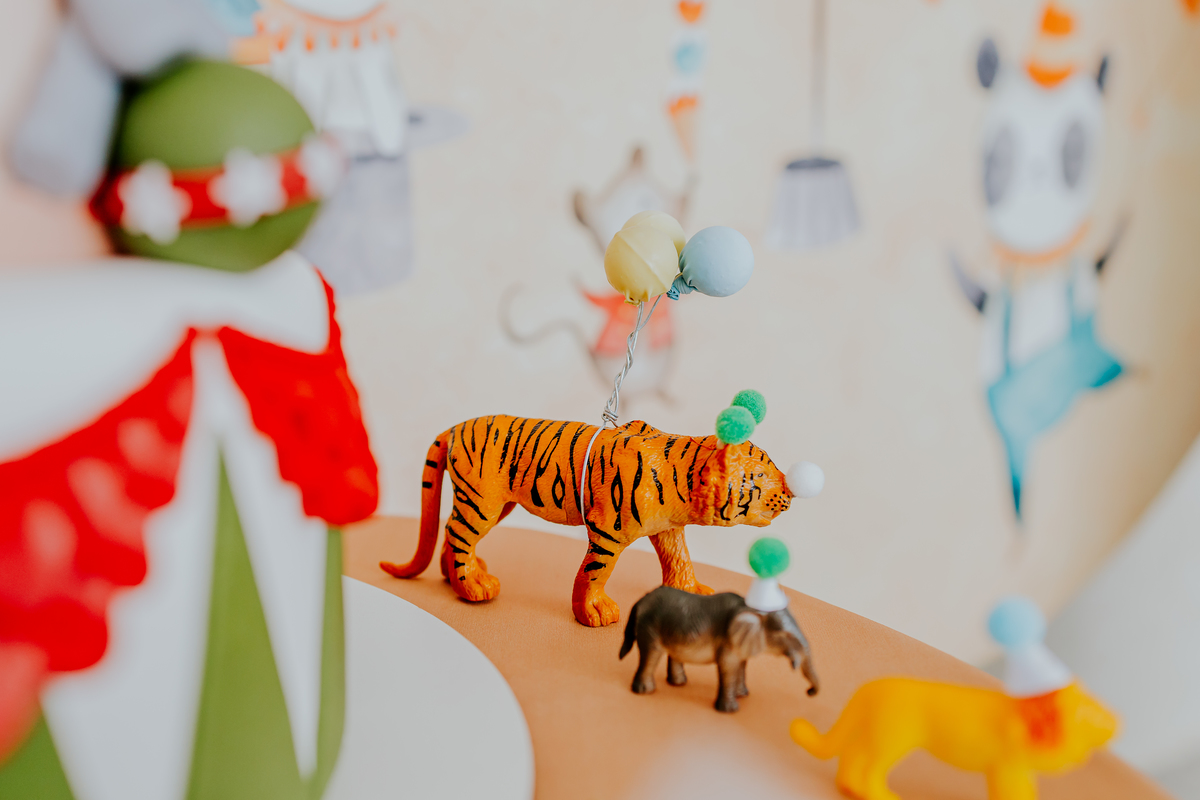 fotografia festa infantil 1 ano Gael tema circo Rio de Janeiro fotografa familia 