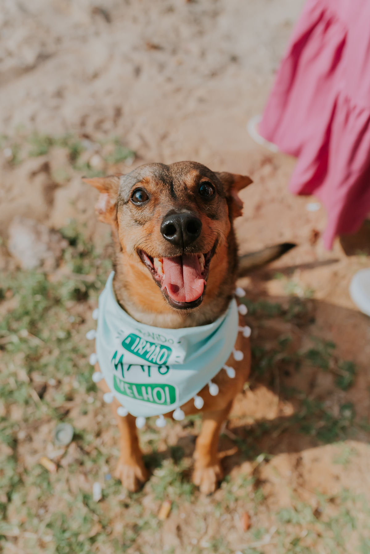 fotografia ensaio gestante fotografa familia a espera da catarina externo parque Lage Rio de Janeiro 