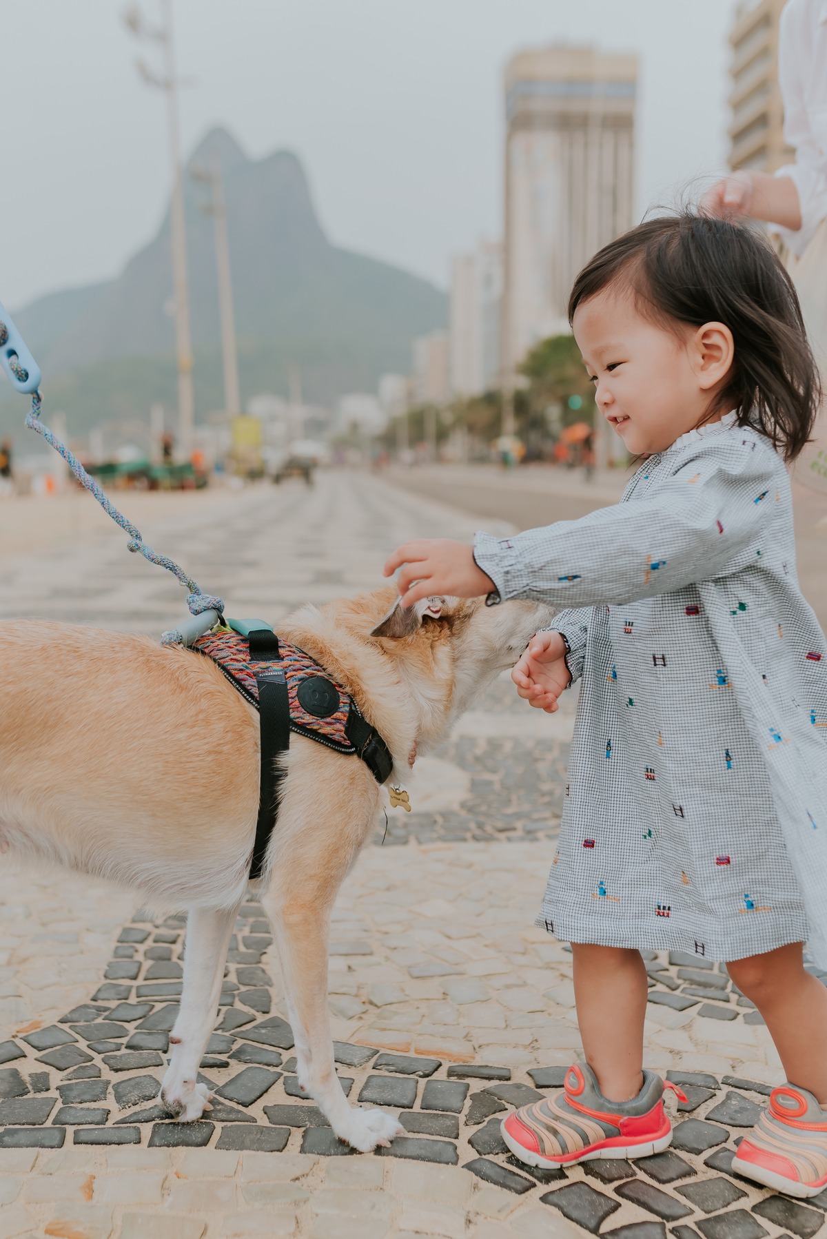 fotografia ensaio família externo praia do Leblon Rio de Janeiro fotografa familia bruna Guerson 