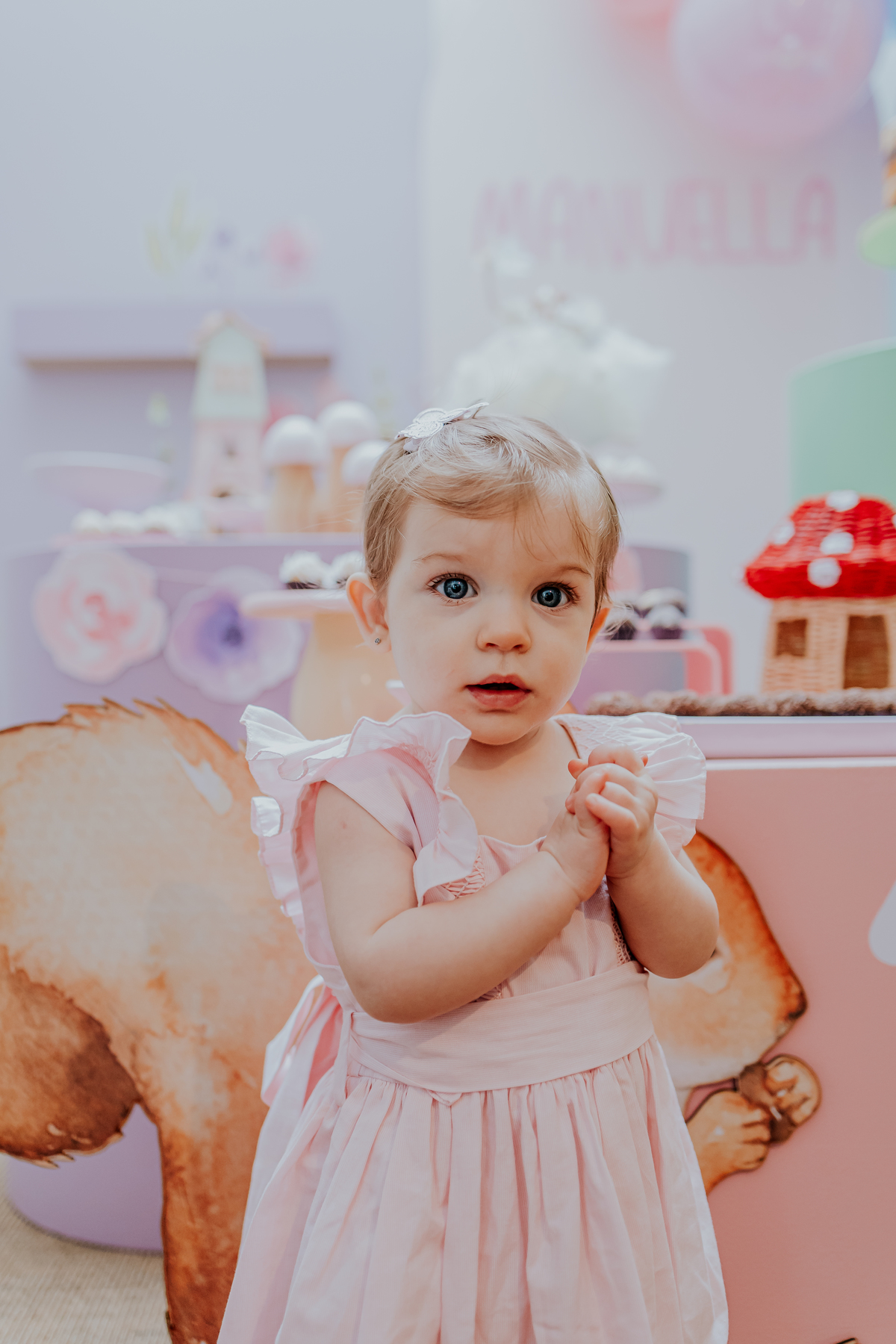 fotografia festa infantil fotografa familia rio de janeiro Tijuca 1 ano Manuela 3 anos Miguel 