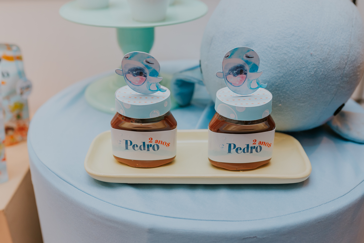 fotografia festa infantil 2 anos Pedro quintal Tijuca rio de janeiro fotografa familia bruna Guerson rj 