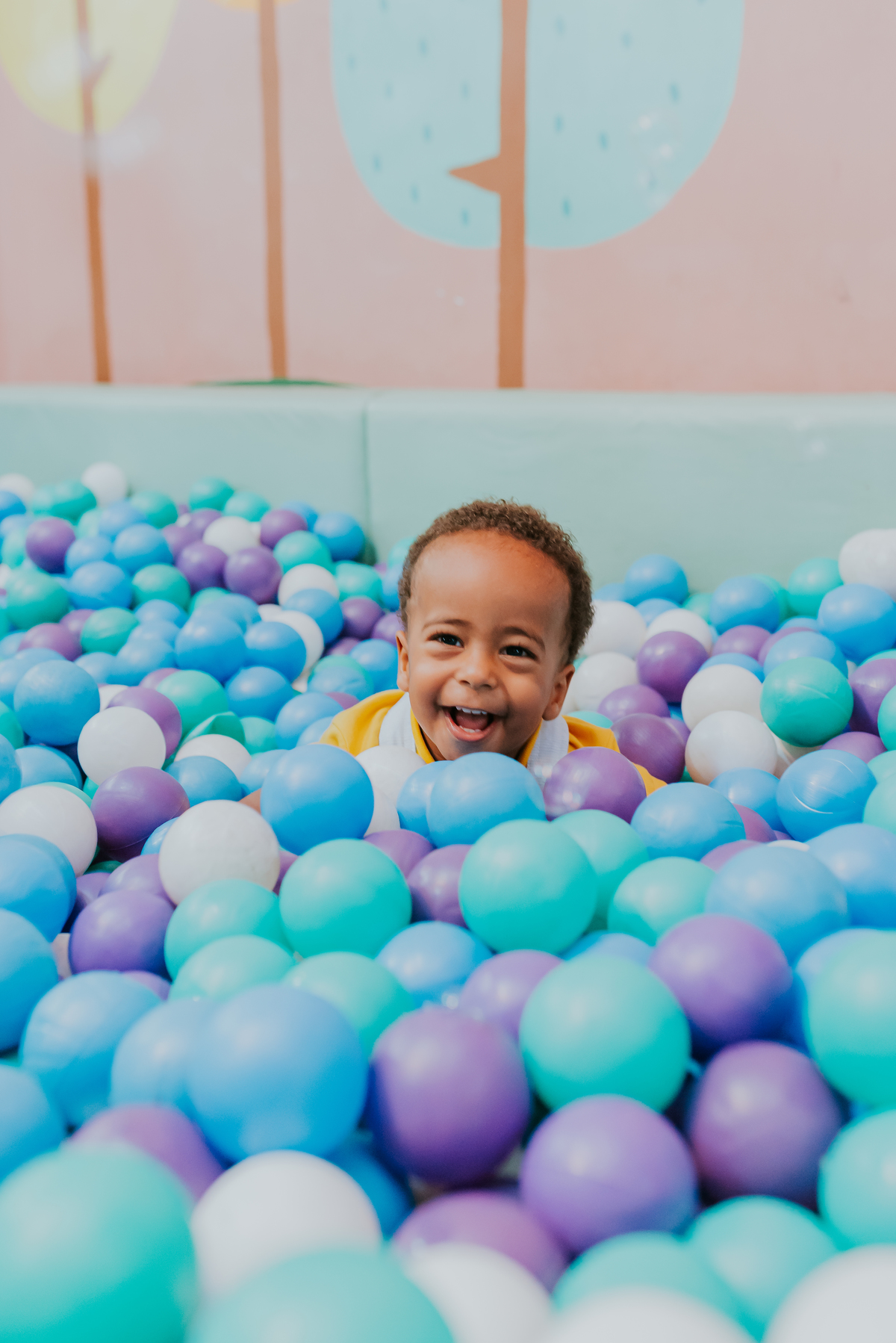 fotografia festa infantil 2 anos Pedro quintal Tijuca rio de janeiro fotografa familia bruna Guerson rj 
