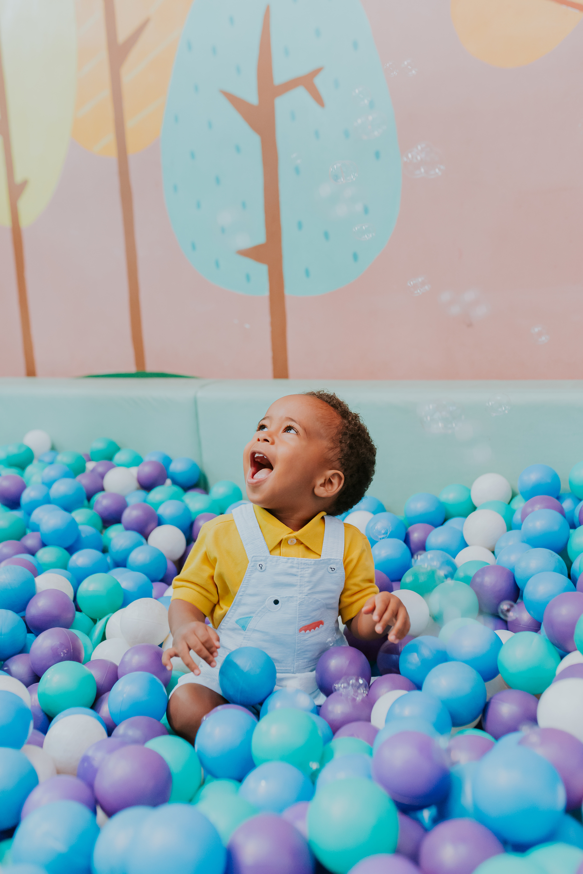 fotografia festa infantil 2 anos Pedro quintal Tijuca rio de janeiro fotografa familia bruna Guerson rj 