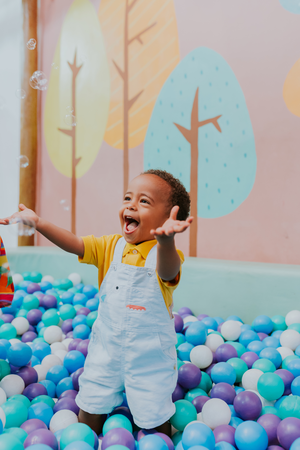 fotografia festa infantil 2 anos Pedro quintal Tijuca rio de janeiro fotografa familia bruna Guerson rj 