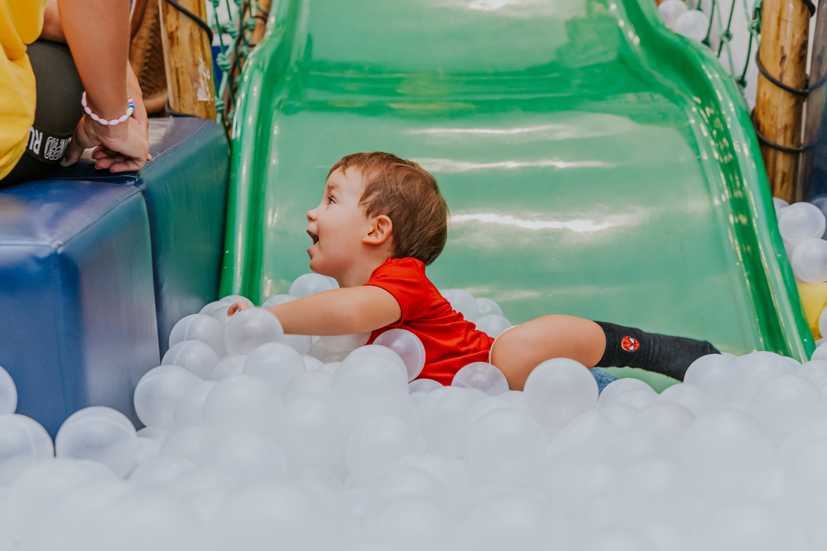 fotografia festa infantil fotografa de familia casa de festas quintal aventura Botafogo Rio de Janeiro 2 anos Vinicius tema Mickey 