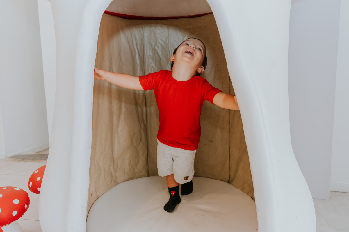 fotografia festa infantil fotografa de familia casa de festas quintal aventura Botafogo Rio de Janeiro 2 anos Vinicius tema Mickey 