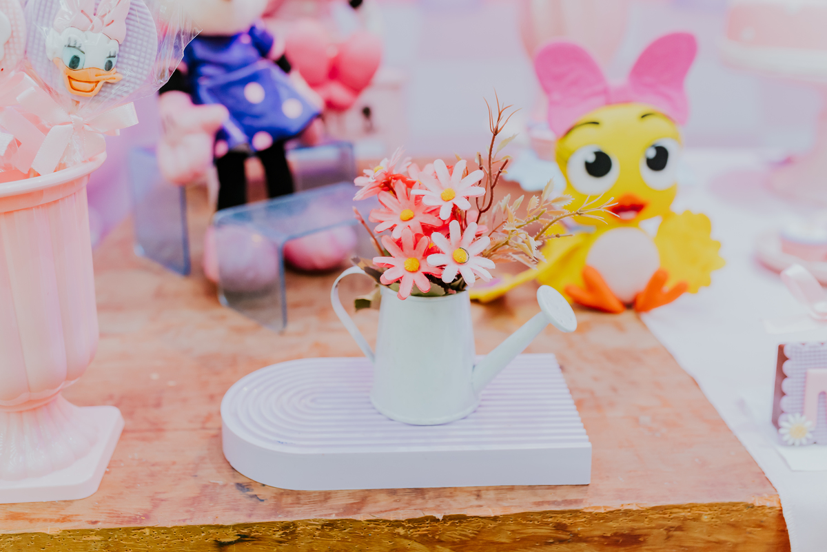 fotografía festa infantil casa de festas tia tal botafogo rio de janeiro 1 ano maria Julia tema Minnie fotografa família