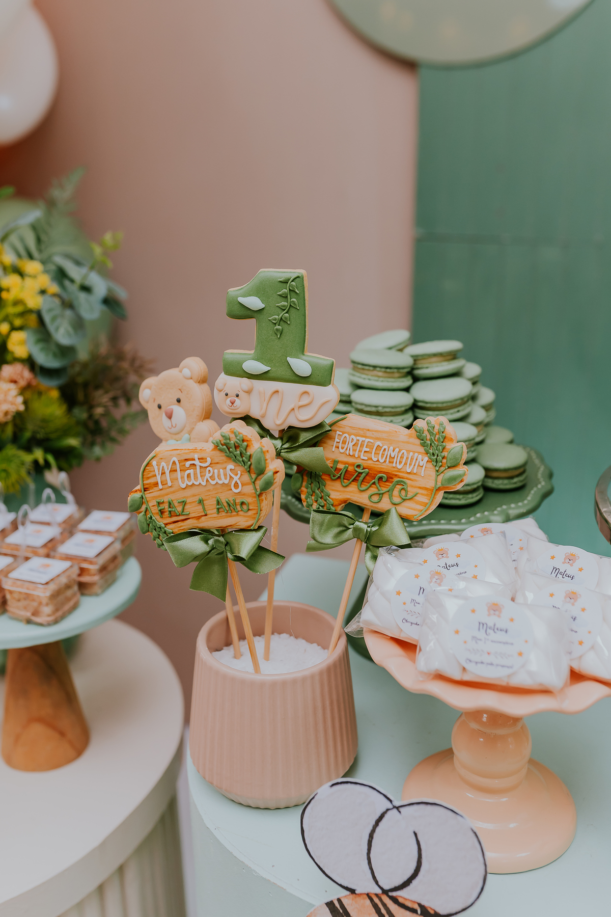 fotografia festa infantil 1 ano Mateus tema urso rio de janeiro fotografa família Niterói 