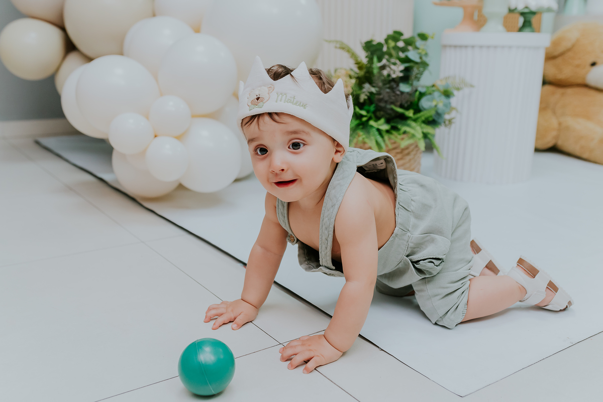 fotografia festa infantil 1 ano Mateus tema urso rio de janeiro fotografa família Niterói 
