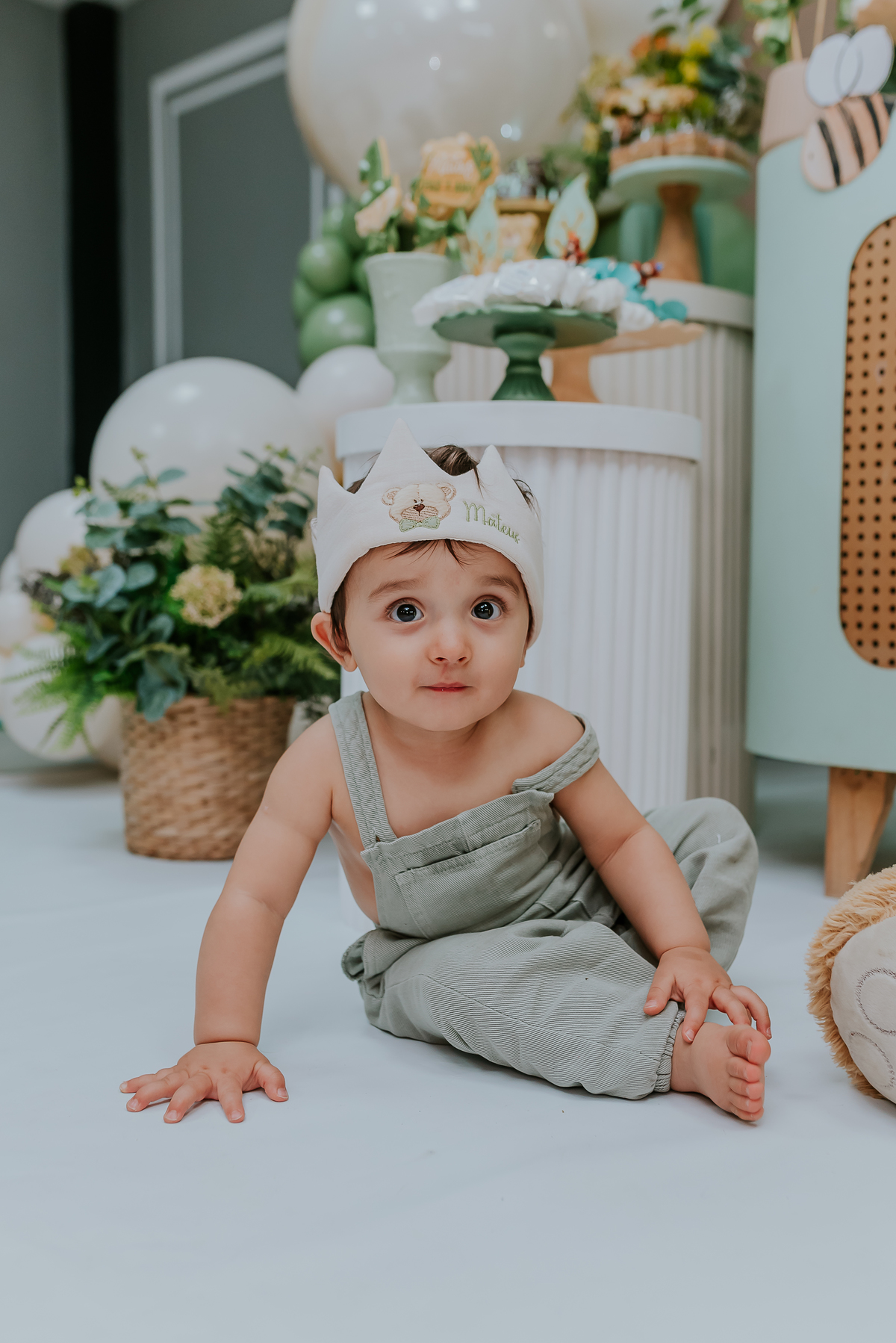 fotografia festa infantil 1 ano Mateus tema urso rio de janeiro fotografa família Niterói 