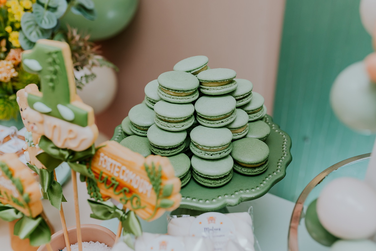 fotografia festa infantil 1 ano Mateus tema urso rio de janeiro fotografa família Niterói 