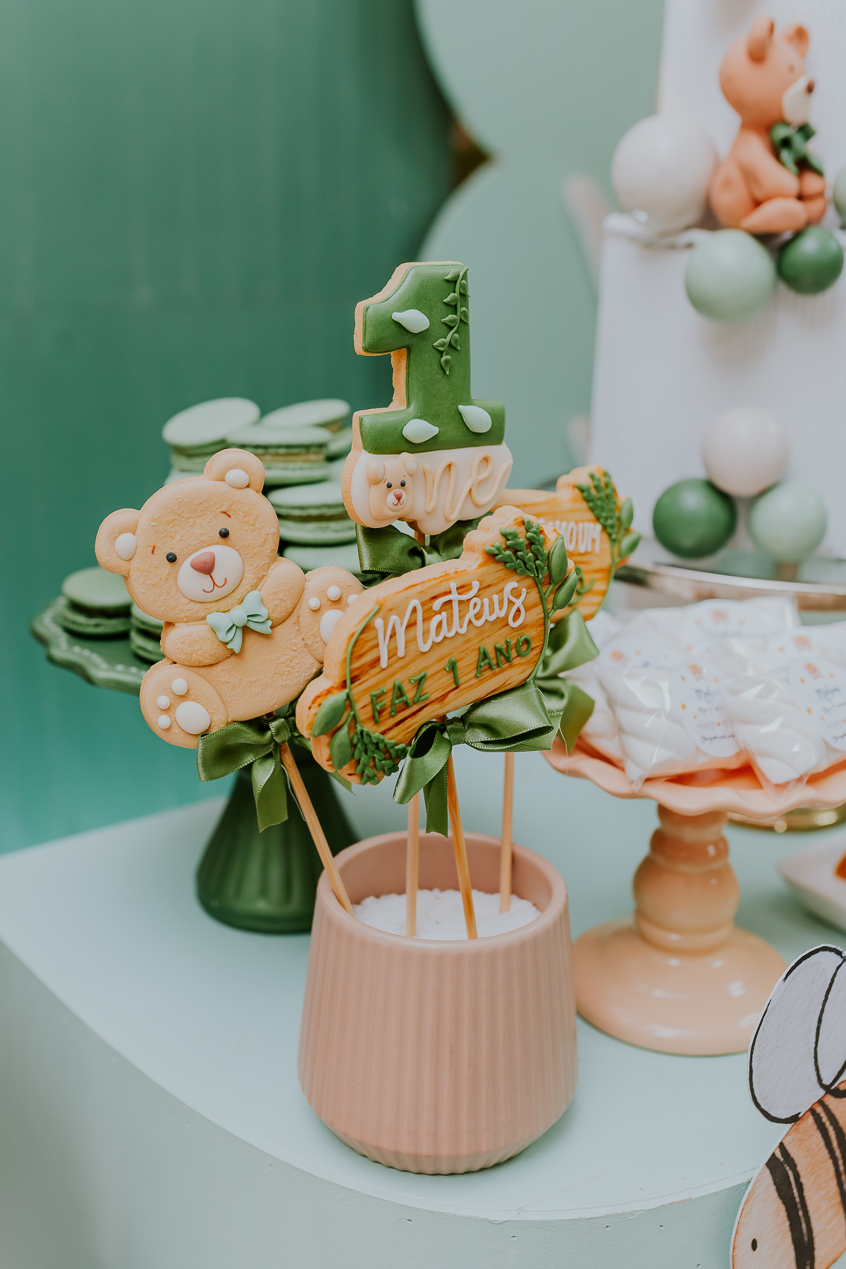 fotografia festa infantil 1 ano Mateus tema urso rio de janeiro fotografa família Niterói 