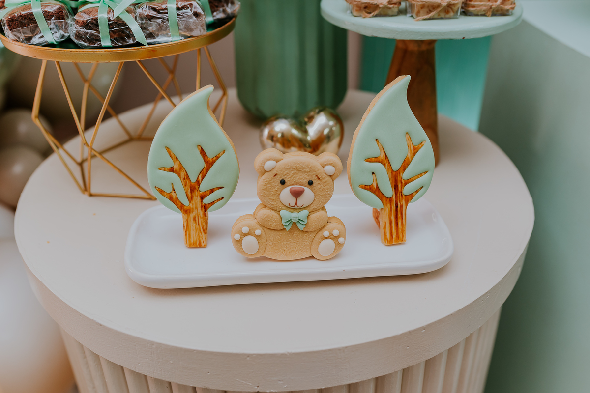 fotografia festa infantil 1 ano Mateus tema urso rio de janeiro fotografa família Niterói 