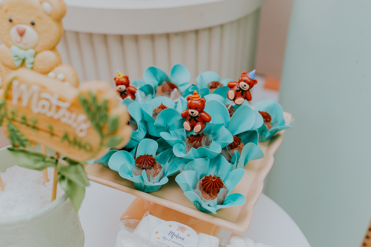 fotografia festa infantil 1 ano Mateus tema urso rio de janeiro fotografa família Niterói 