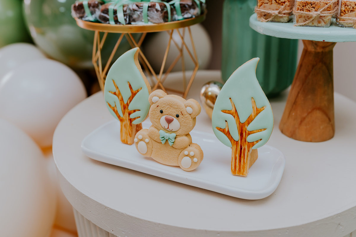 fotografia festa infantil 1 ano Mateus tema urso rio de janeiro fotografa família Niterói 