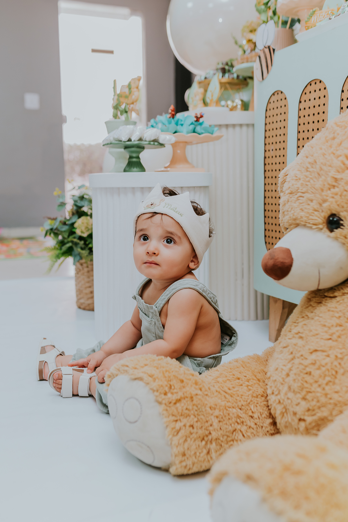 fotografia festa infantil 1 ano Mateus tema urso rio de janeiro fotografa família Niterói 